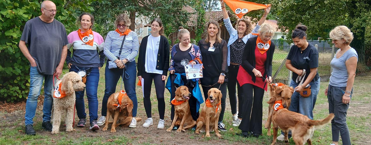 Cinq nouveaux chiens formés pour accompagner les enfants victimes de violences dans les UAPED