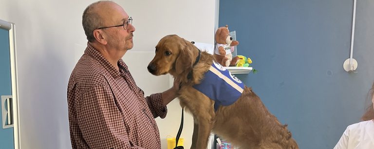 Vic, Vox et Vitis rejoignent officiellement les UAPED : trois nouveaux chiens de soutien déjà pleinement engagés auprès des enfants