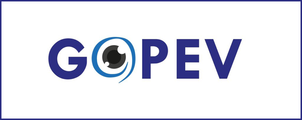 Questionnaire sur les violences sexistes et sexuelles : La Voix De l’Enfant et le GOPEV demandent un véritable dispositif de protection avant tout déploiement